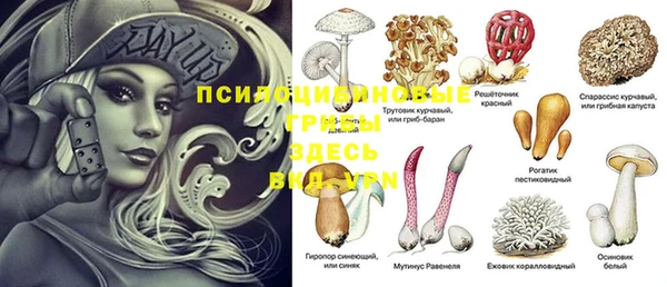 первитин Козельск