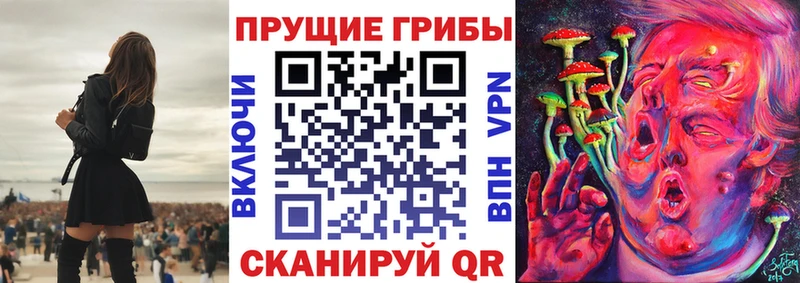 Купить где  Красновишерск  Псилоцибиновые грибы Cubensis 